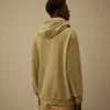 Kapuzen-Sweatshirt aus diagonal gewebtem Baumwollfleece mit Lens-Optik